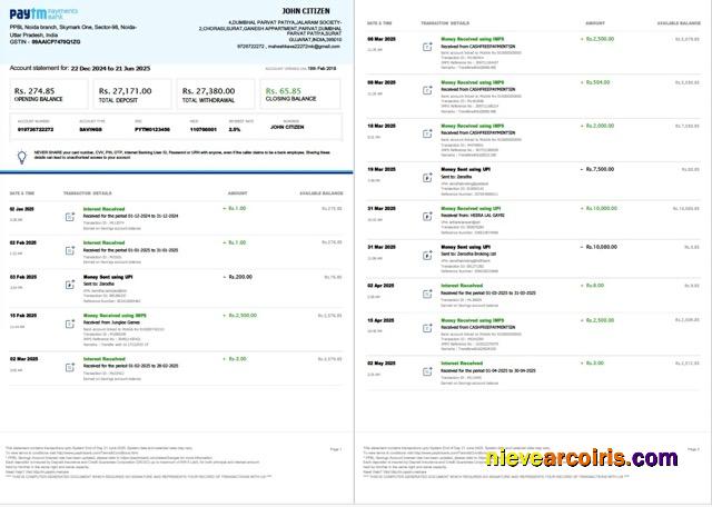 India PayTM Payments Bank account statement Word and PDF, 3 pages, 1-2 pages